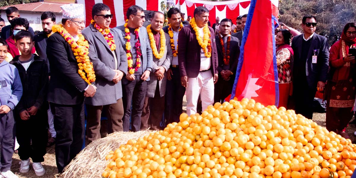 पोखराको दोपहरे हर्राबोटमा सुन्तला मेला सकियो