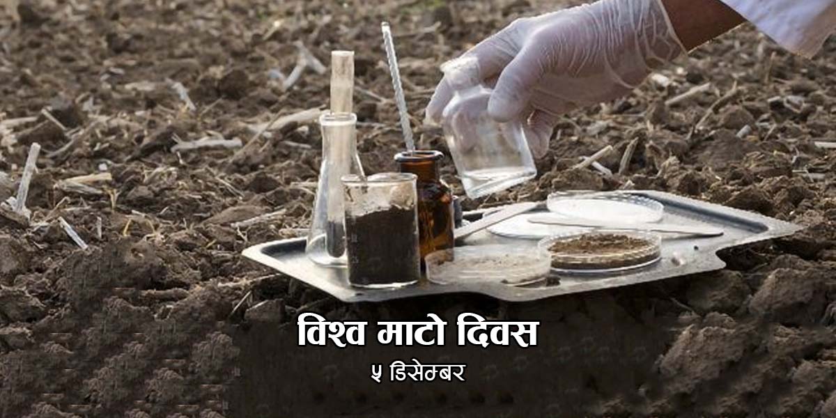 आज विश्व माटो दिवस मनाइँदै